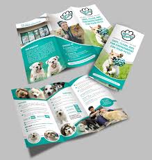 Brochure kiểu gấp