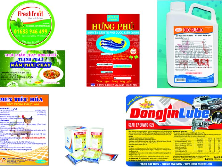 in decal giay chuyen nghiep 1