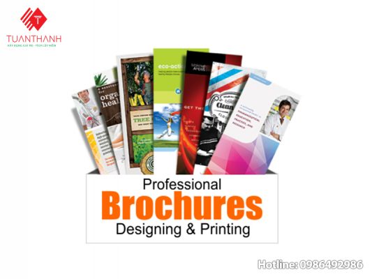 Một chồng brochure được thiết kế đẹp mắt, chuyên nghiệp.