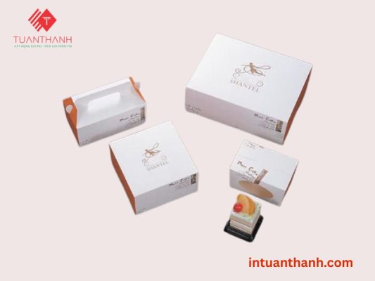 In hộp giấy mềm giá rẻ tại In Tuấn Thành